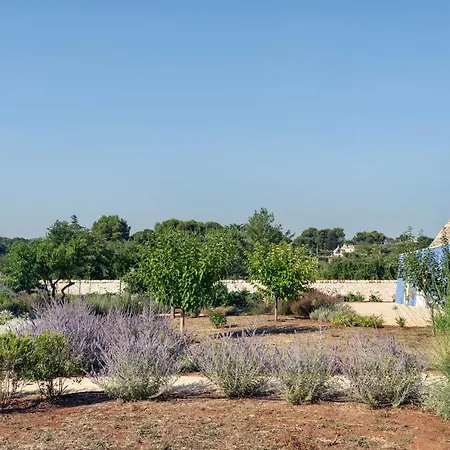 Trullo Ciliegio - Apuliaria Ostuni